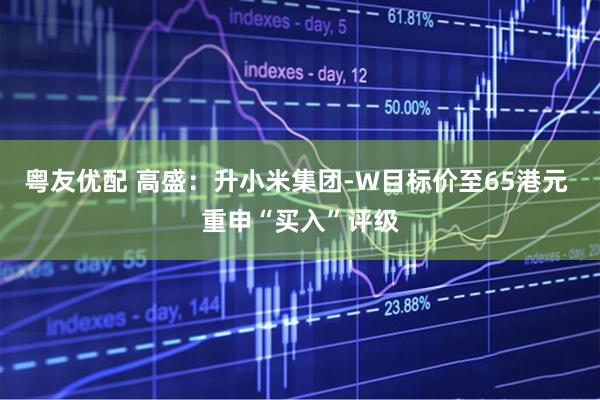 粤友优配 高盛：升小米集团-W目标价至65港元 重申“买入”评级