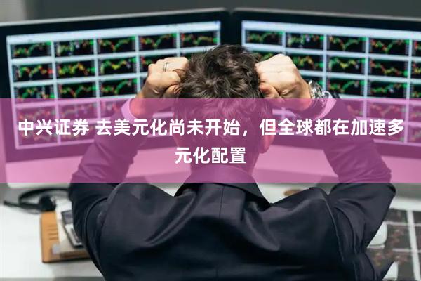 中兴证券 去美元化尚未开始，但全球都在加速多元化配置
