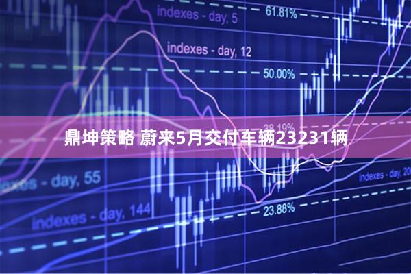 鼎坤策略 蔚来5月交付车辆23231辆