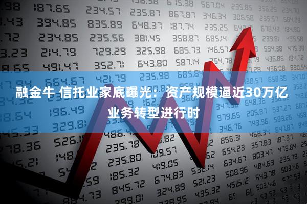 融金牛 信托业家底曝光：资产规模逼近30万亿 业务转型进行时