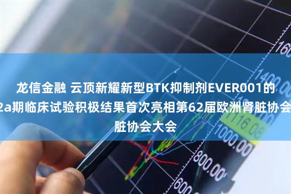 龙信金融 云顶新耀新型BTK抑制剂EVER001的1b/2a期临床试验积极结果首次亮相第62届欧洲肾脏协会大会