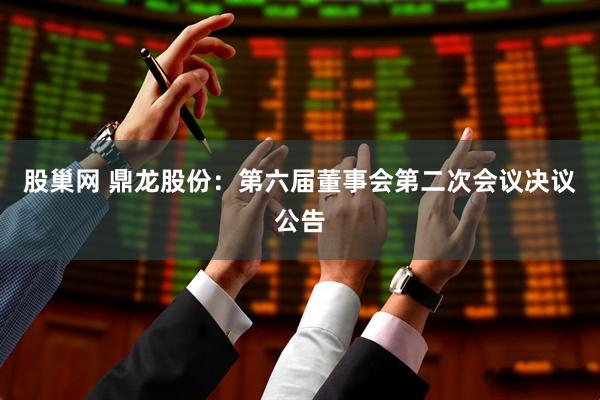 股巢网 鼎龙股份：第六届董事会第二次会议决议公告