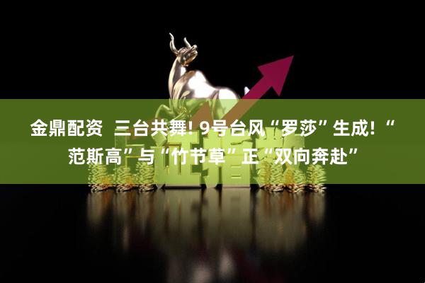 金鼎配资  三台共舞! 9号台风“罗莎”生成! “范斯高”与“竹节草”正“双向奔赴”
