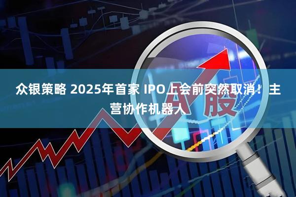 众银策略 2025年首家 IPO上会前突然取消！主营协作机器人
