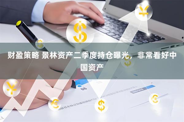 财盈策略 景林资产二季度持仓曝光，非常看好中国资产