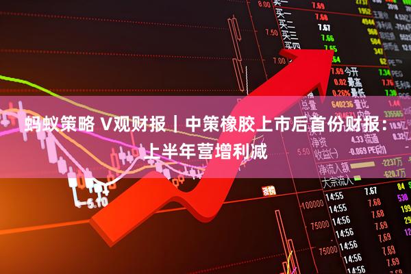 蚂蚁策略 V观财报｜中策橡胶上市后首份财报：上半年营增利减
