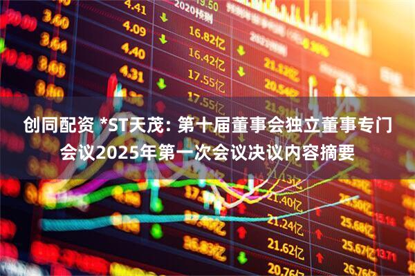 创同配资 *ST天茂: 第十届董事会独立董事专门会议2025年第一次会议决议内容摘要