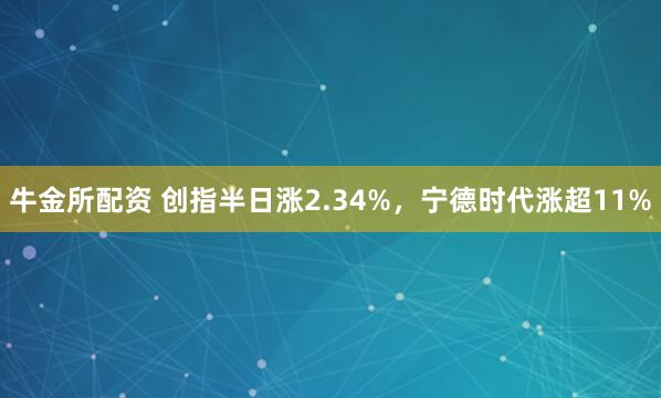 牛金所配资 创指半日涨2.34%，宁德时代涨超11%