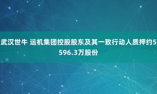 武汉世牛 运机集团控股股东及其一致行动人质押约5596.3万股份