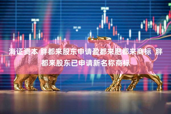 海证资本 胖都来股东申请盈都来肥都来商标  胖都来股东已申请新名称商标