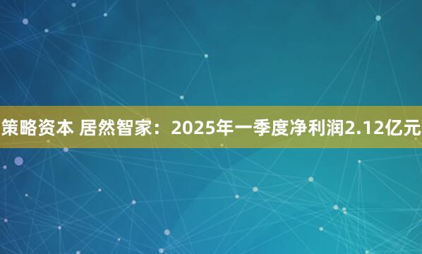 策略资本 居然智家：2025年一季度净利润2.12亿元