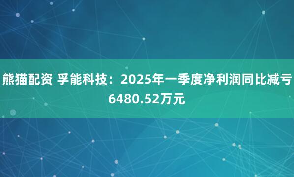 熊猫配资 孚能科技：2025年一季度净利润同比减亏6480.52万元